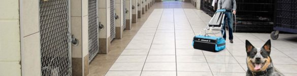 Animal Care Facility - Veterinary Clinic Floor Cleaning Maintenance - Rotowash