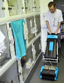 Kennel sales floor cleaner