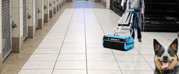 Cleaning Veterinary Dog Kennel Floors - Rotowash