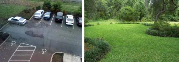 Parking Lot and Backyard